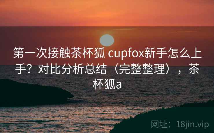 第一次接触茶杯狐 cupfox新手怎么上手？对比分析总结（完整整理），茶杯狐a