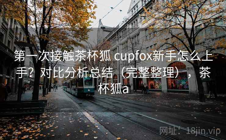第一次接触茶杯狐 cupfox新手怎么上手？对比分析总结（完整整理），茶杯狐a