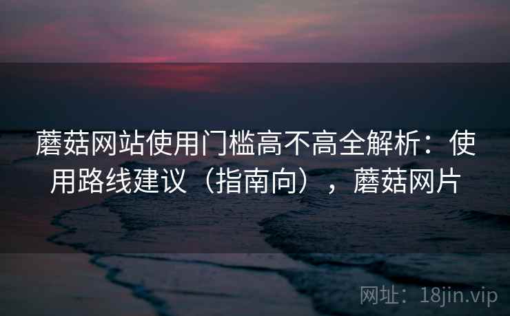 蘑菇网站使用门槛高不高全解析：使用路线建议（指南向），蘑菇网片